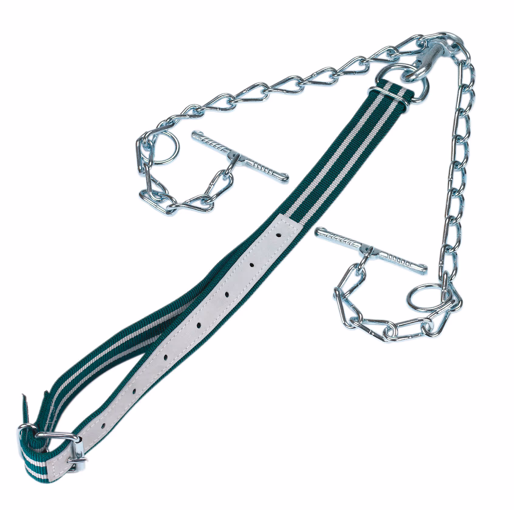 Attache bovin complet avec collier chaîne double