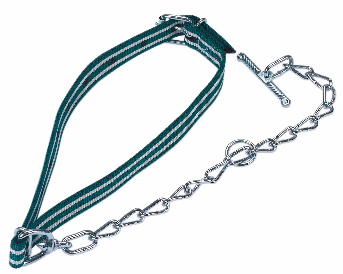 Attache veau complet 100x4cm avec collier et chaîne