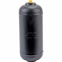 Atténuateur de vibration Lamborghini 0.019.0172.0/20