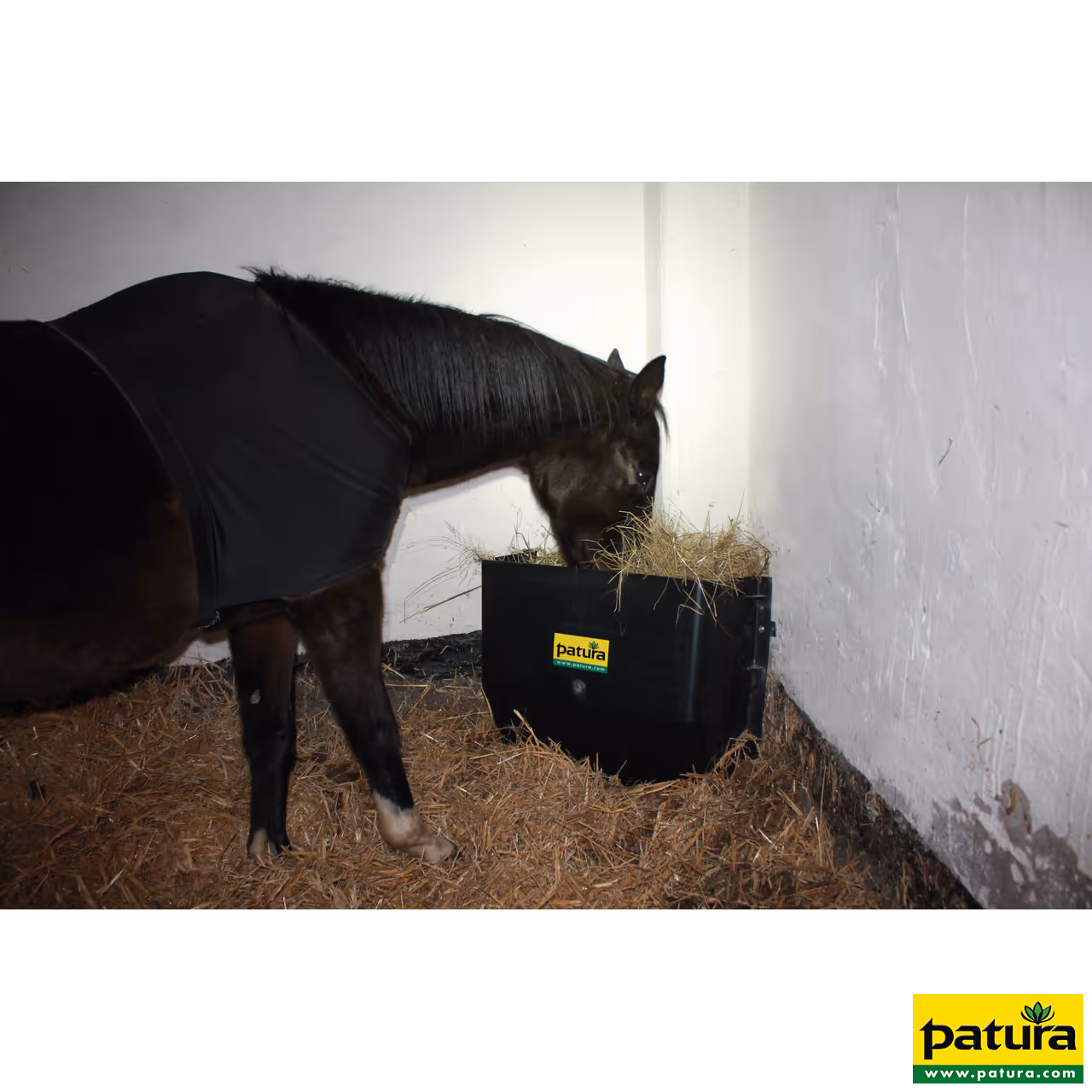 Auge en plastique 200 Litres pour chevaux