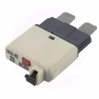 Automatique fusible enfichable