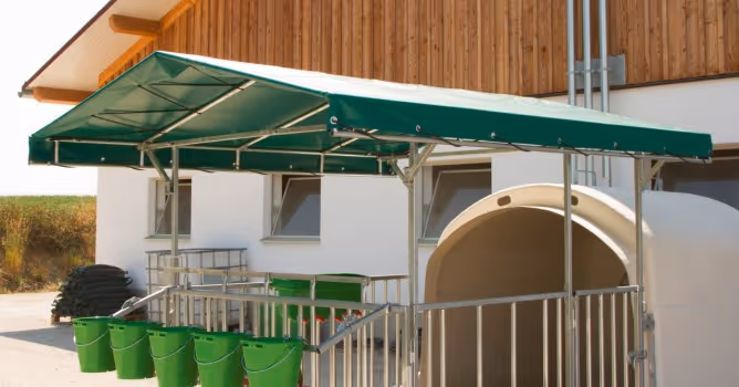 Auvent pour CalfHouse Premium 4/5