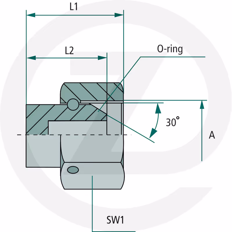 AV 1/4 FS-BSP  Obturateur femelle BSP