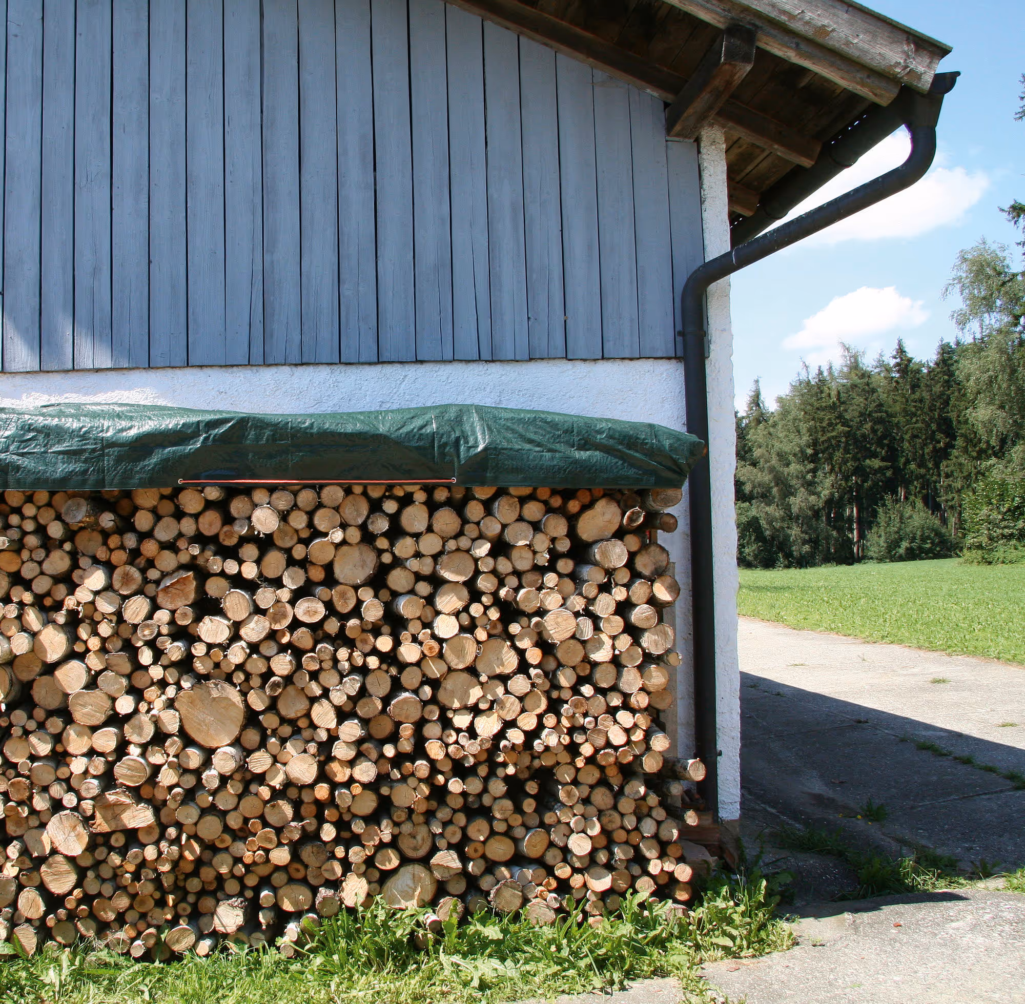 Bâche Polyguard 210 g/m² 2 x 3 m