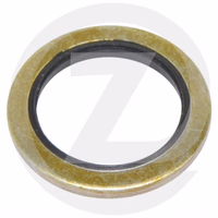 BAGUE BS - 13651 - MERLO