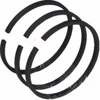 Bague d'étanchéité IPTO 