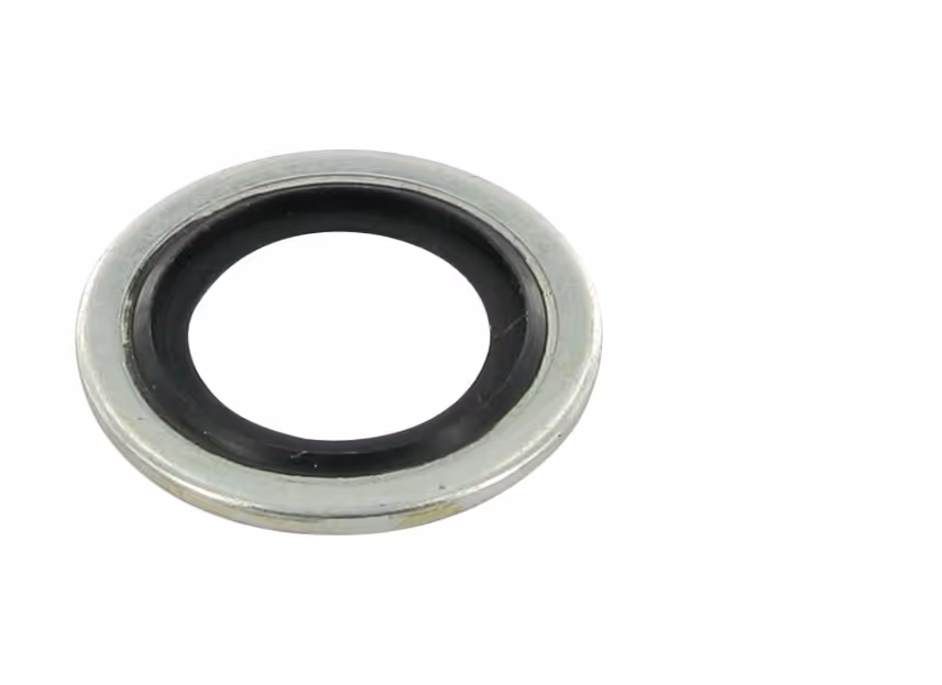 Bague d'étanchéité type BS 1/2