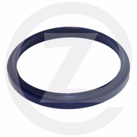 BAGUE DE POUSSIERE - 44421 - MERLO