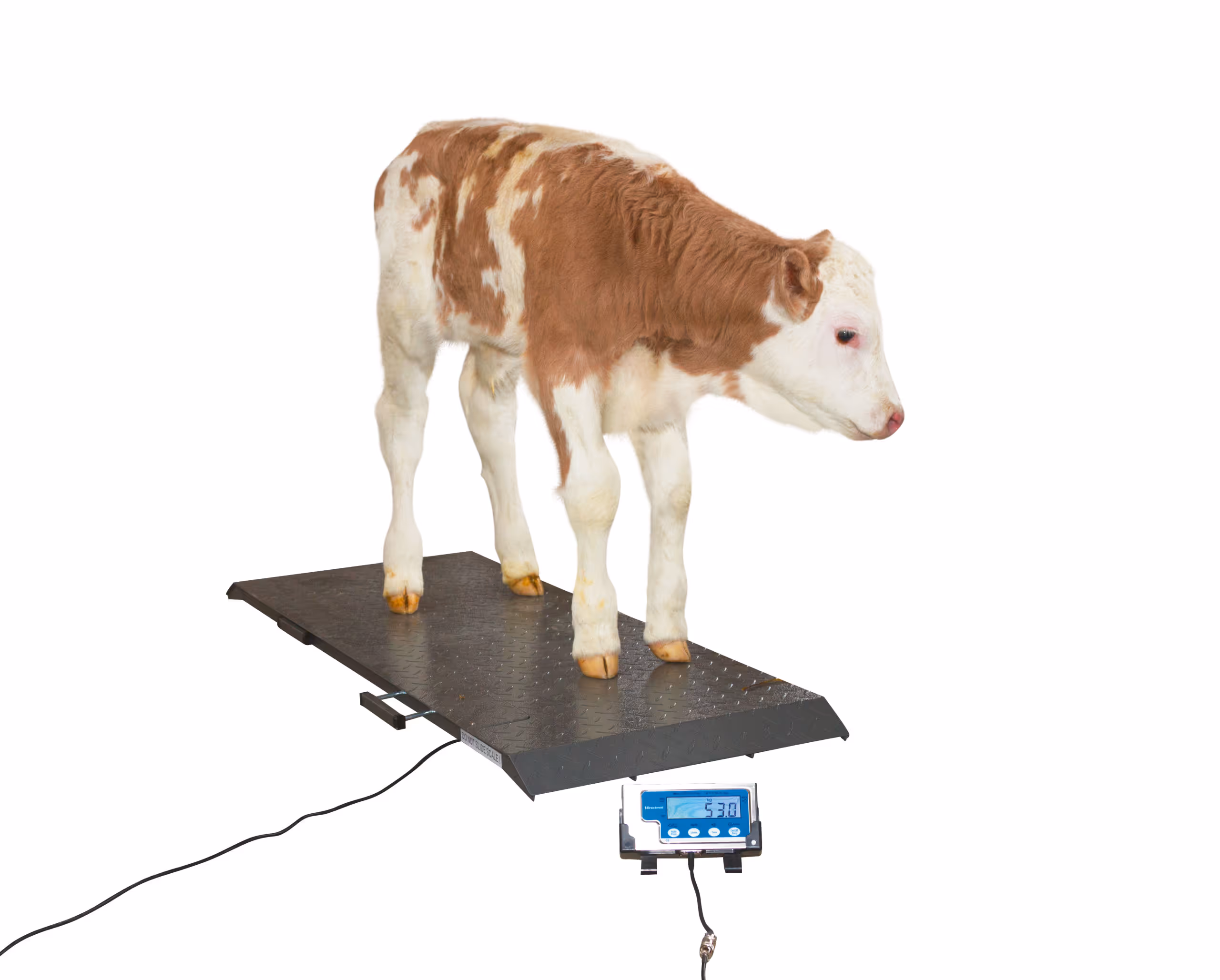 Balance pour animaux PS1000 graduation 200g, 500kg