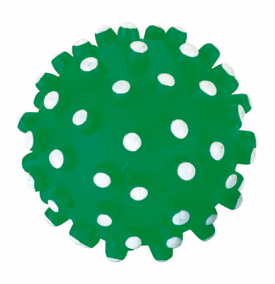 Balle à picots pour chien vinyle, Ø10cm