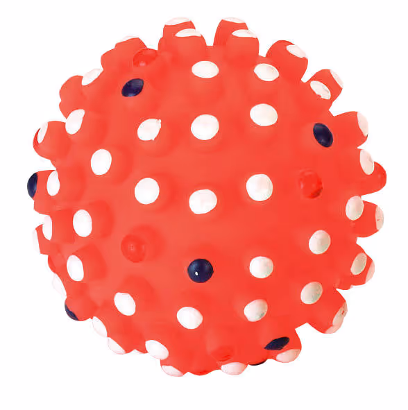 Balle à picots pour chien vinyle, Ø10cm
