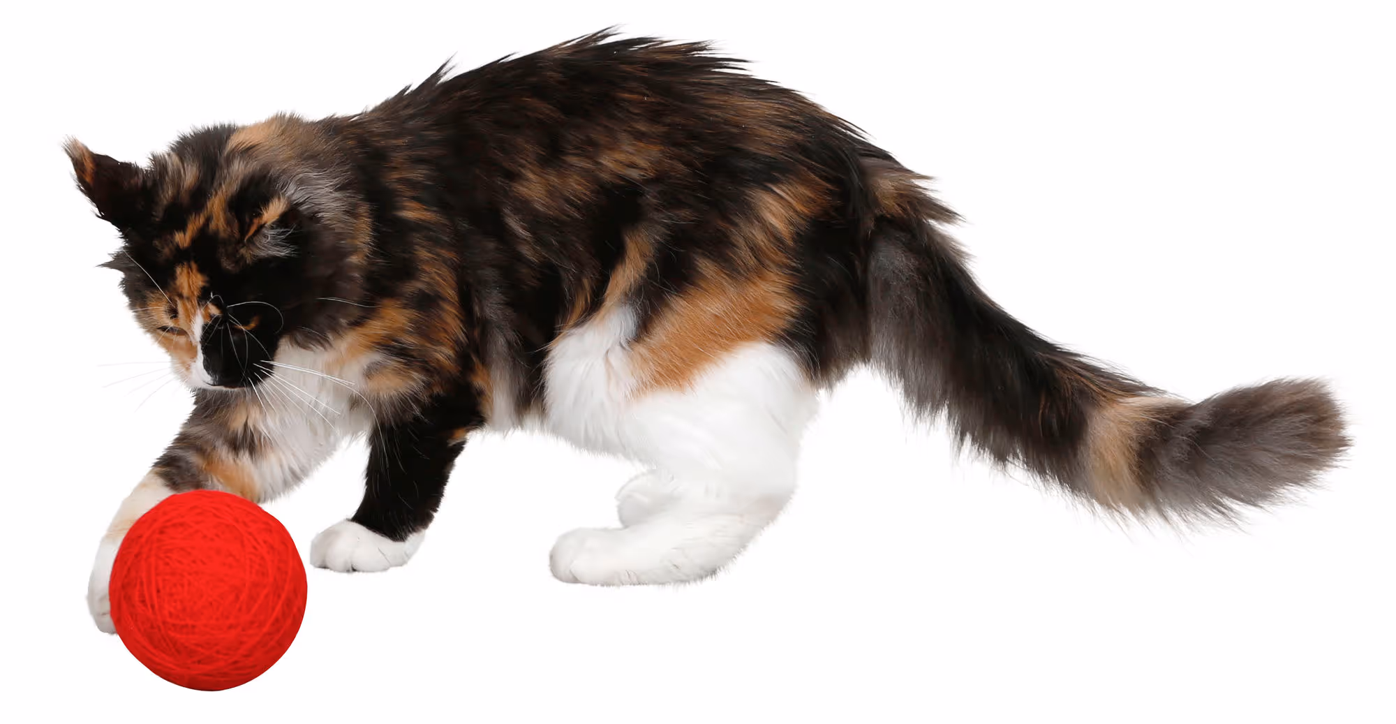 Balle de jeu laine pour chat rouge, Ø10cm