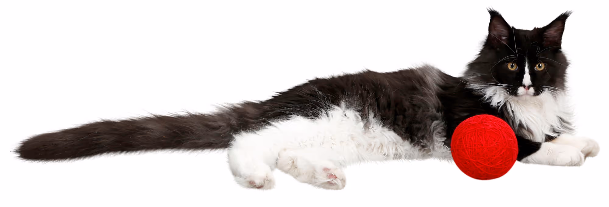 Balle de jeu laine pour chat rouge, Ø10cm