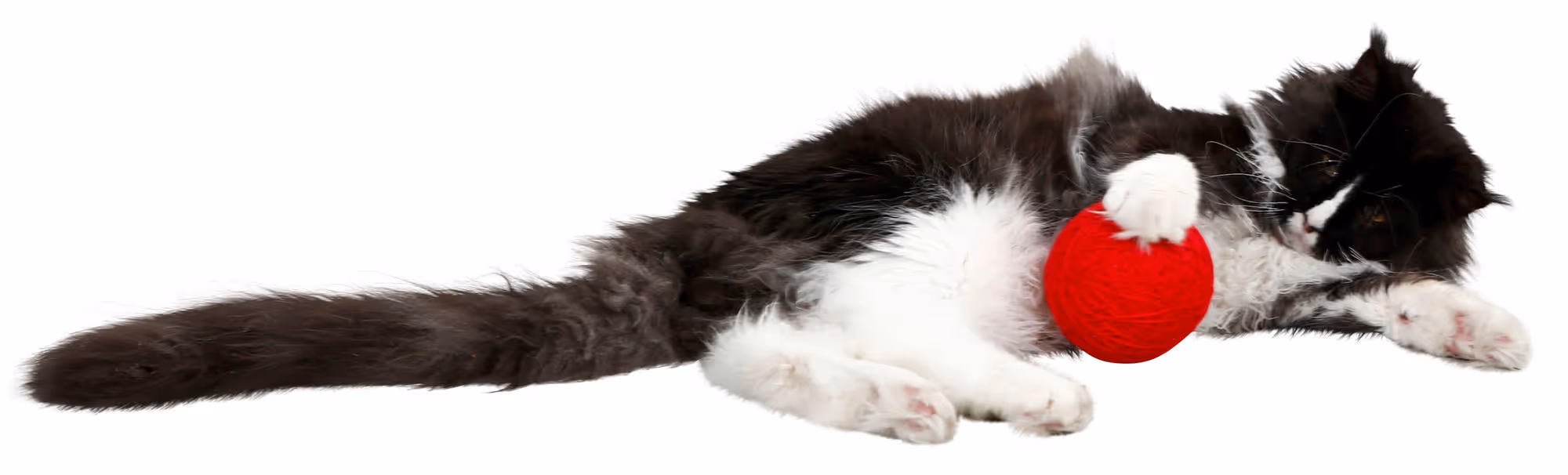 Balle de jeu laine pour chat rouge, Ø10cm