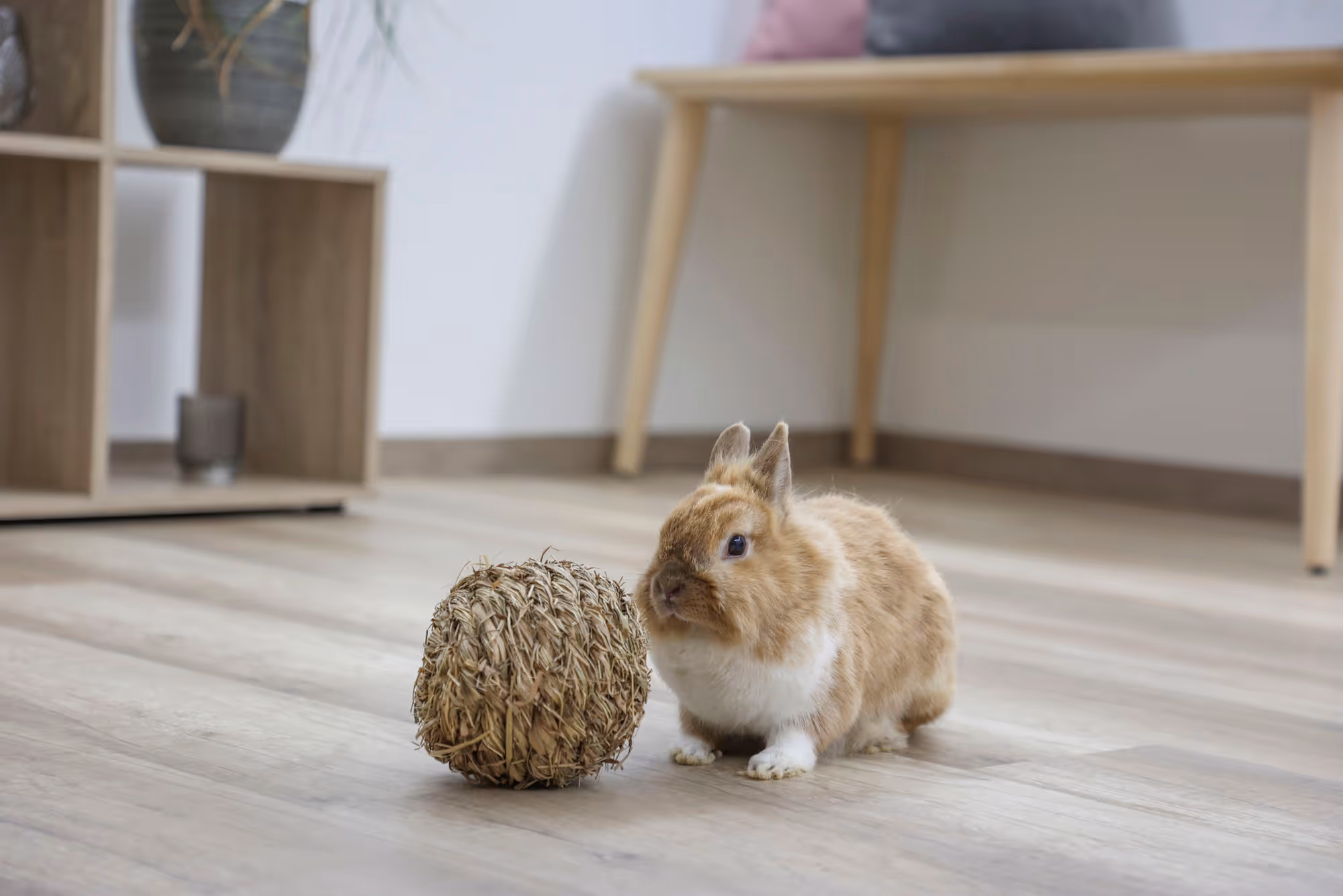 Balle en herbe pour rongeur comestible, Ø13cm