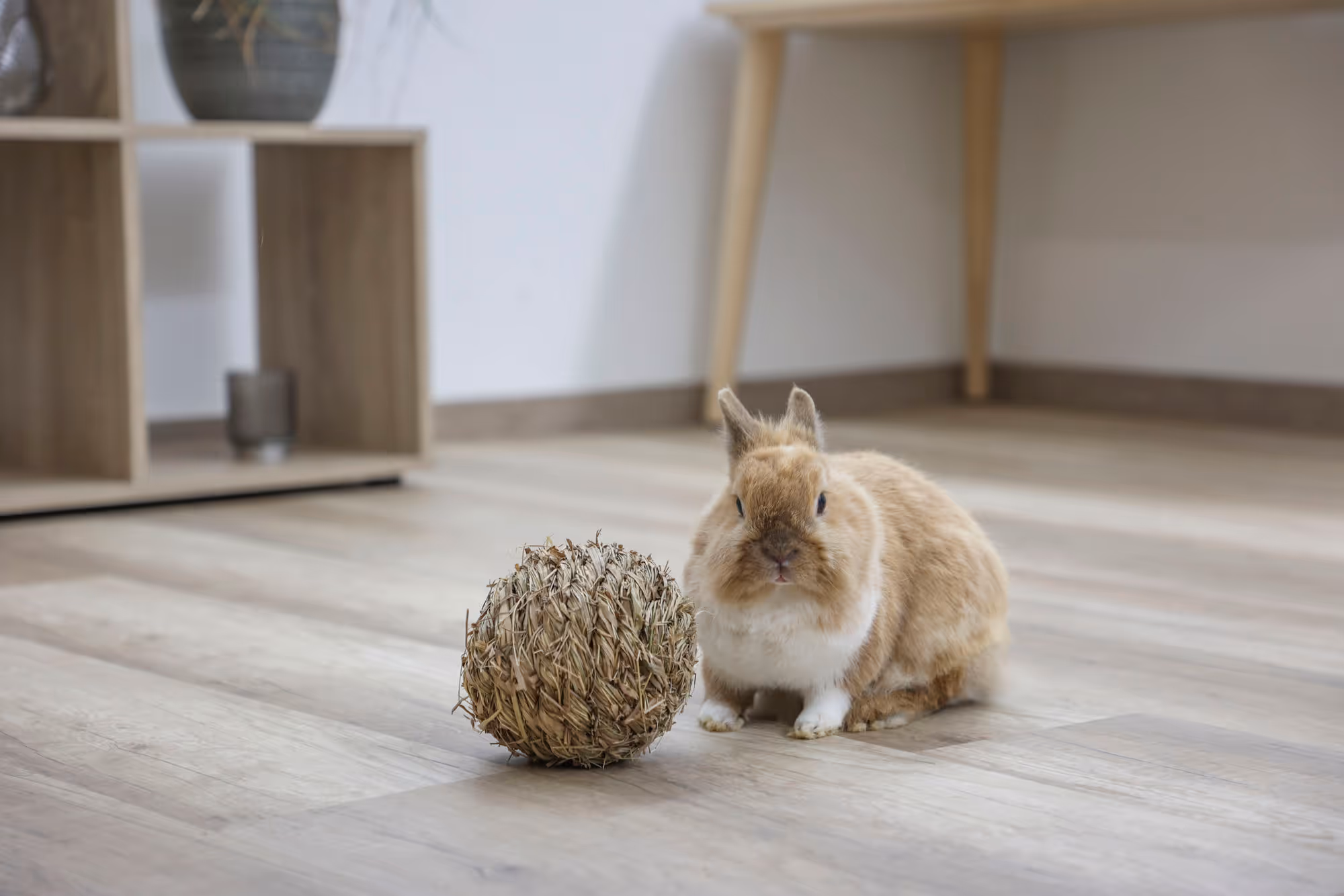 Balle en herbe pour rongeur comestible, Ø13cm