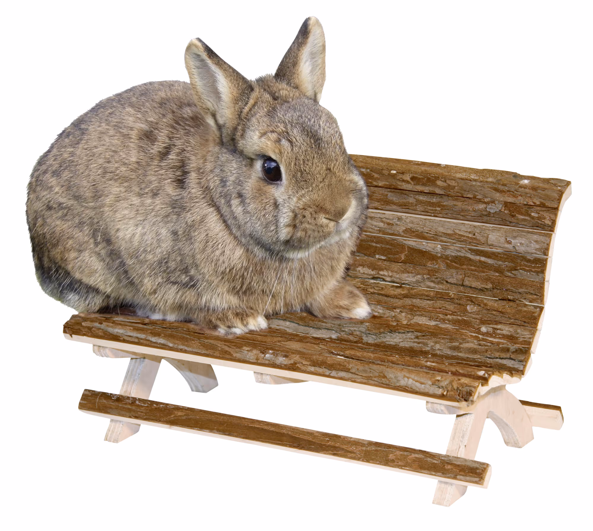 Banc pour rongeur Nature, 30X15X18cm