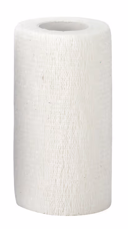 Bandage autoadhésif Equilastic blanc, 10cm