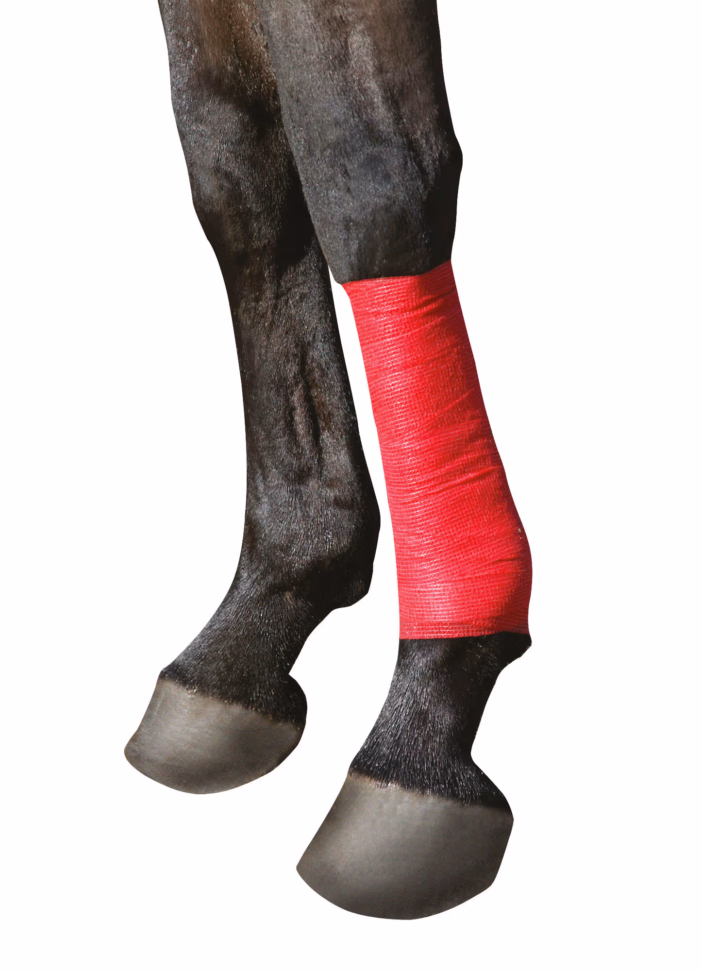 Bandage autoadhésif Equilastic rouge, 10cm