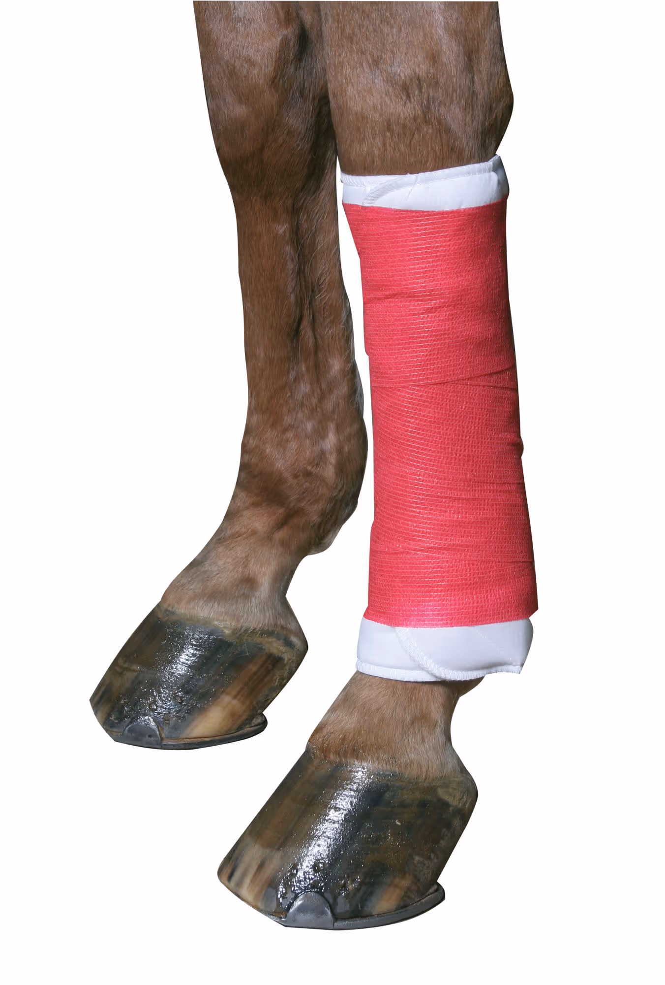 Bandage autoadhésif Equilastic rouge, 10cm