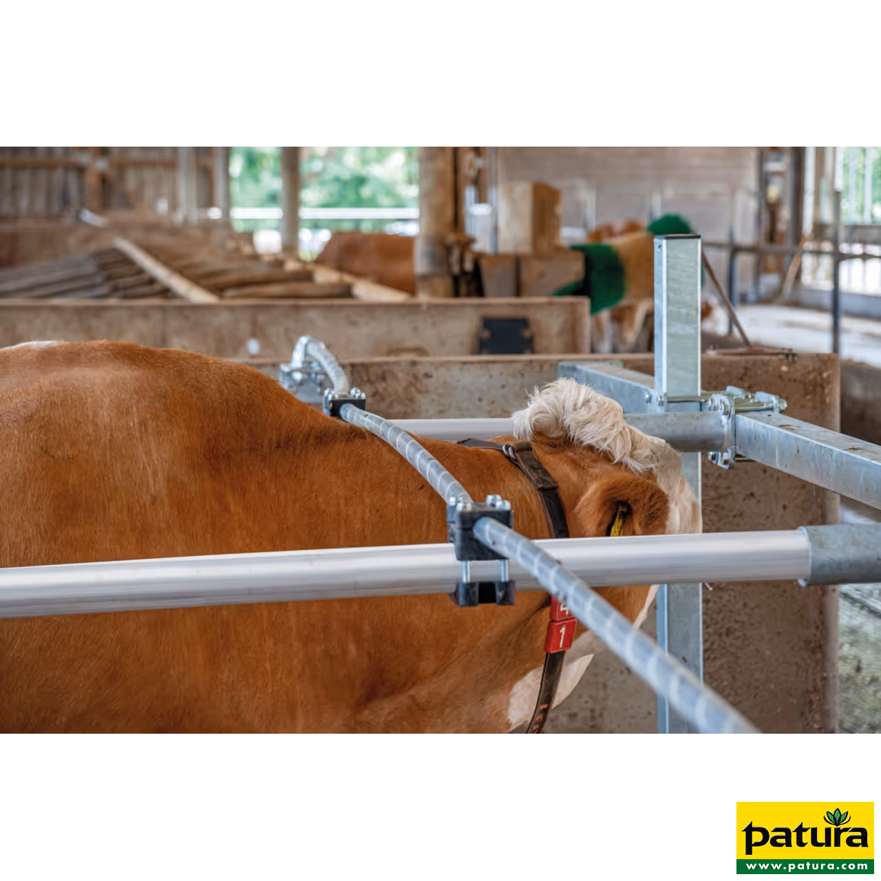 Barre au garrot souple, au mètre