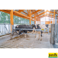 Barrière télescopique levante 4 à 6 m