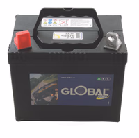 Batterie 12V 24Ah - Stiga