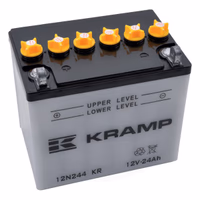 Batterie 12V 24Ah 225A - Universel