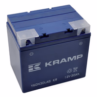 Batterie 12V 30Ah 300A - Universel