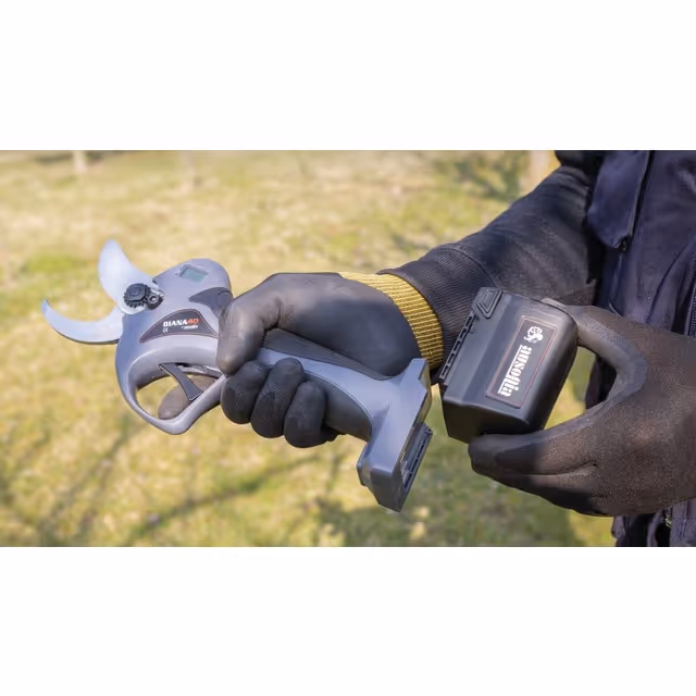 Batterie li-ion 25,2v 4,0ah pour secateur electrique diana 40