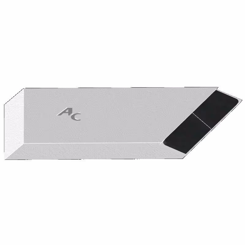 Bec de dechaumeur Agricarb à souder 240x100x20mm Droit Carbure