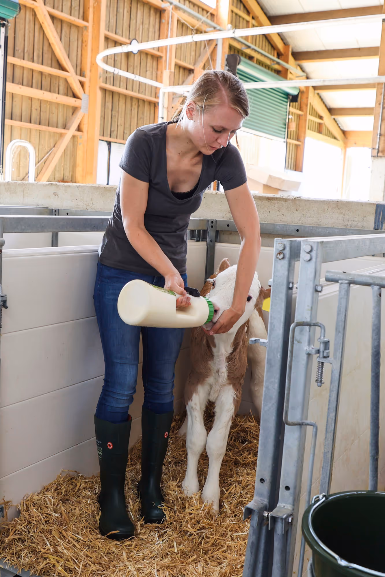 Biberon à veau MilkyFeeder 2,5l avec tétine, clapet 3 niv