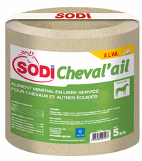 Bloc à lécher SodiCheval'ail pour Equins 5 Kg