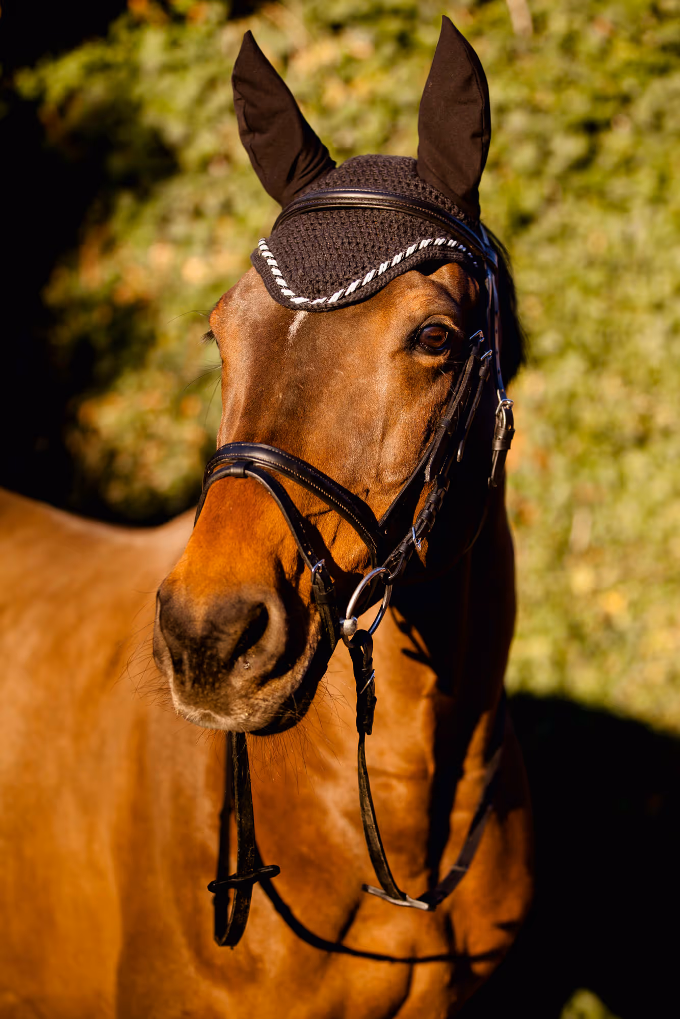 Bonnet anti-mouche Classic noir