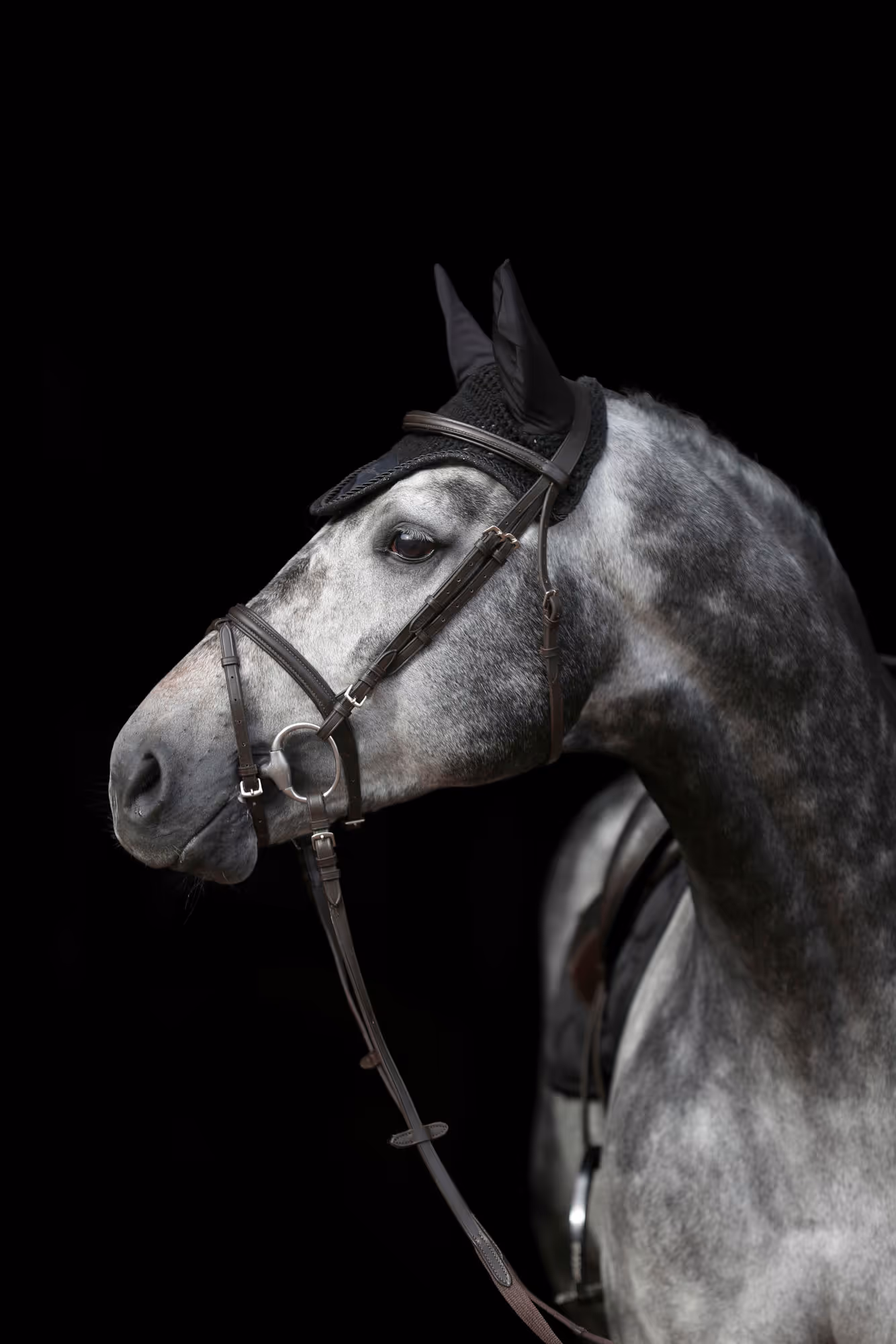 Bonnet anti-mouches Empara black, Cob/Full