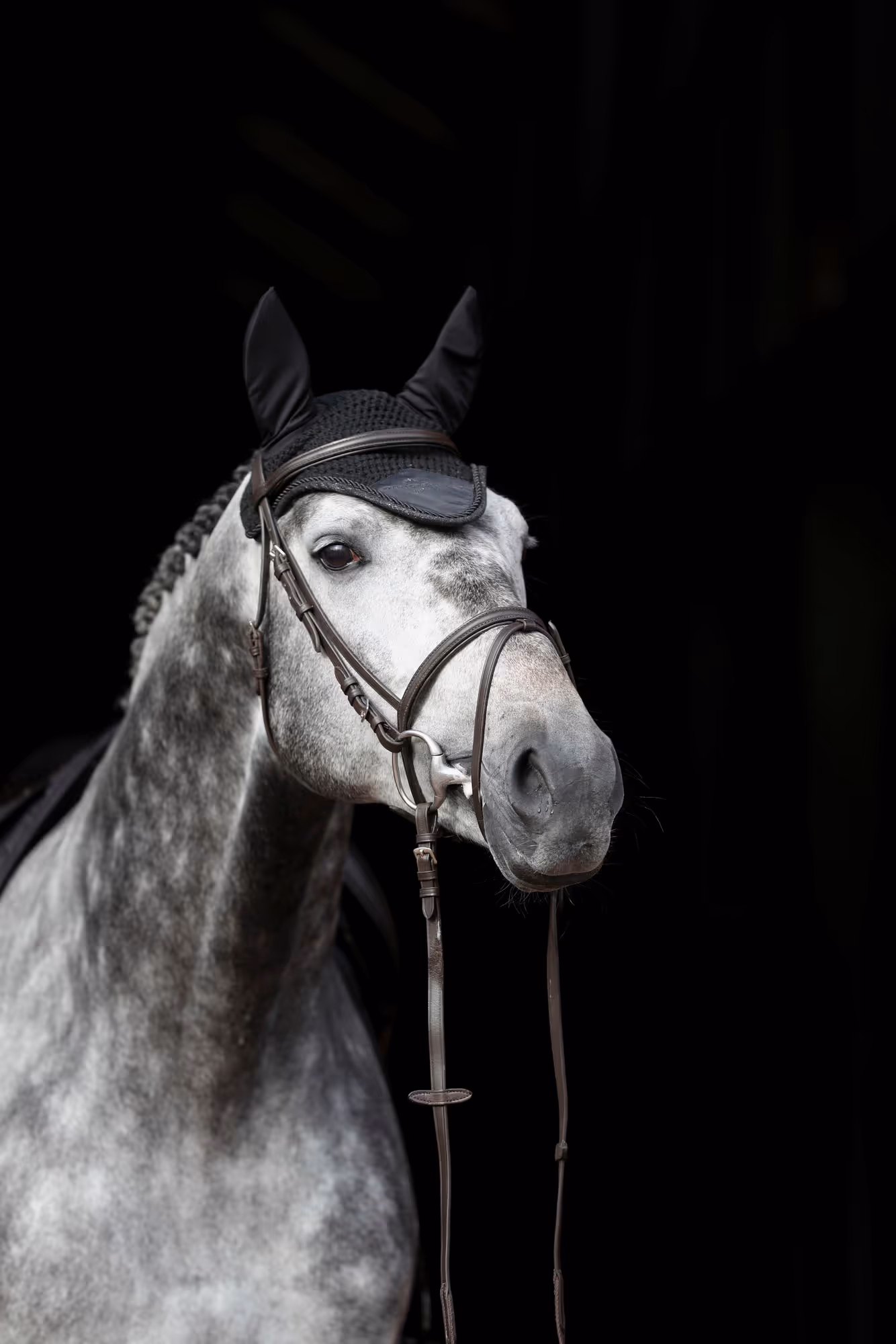 Bonnet anti-mouches Empara black, Cob/Full