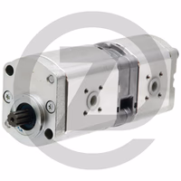 BOSCH Pompe double - sens de rotation antihoraire