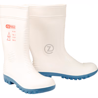 Bottes de sécurité isolées, 41