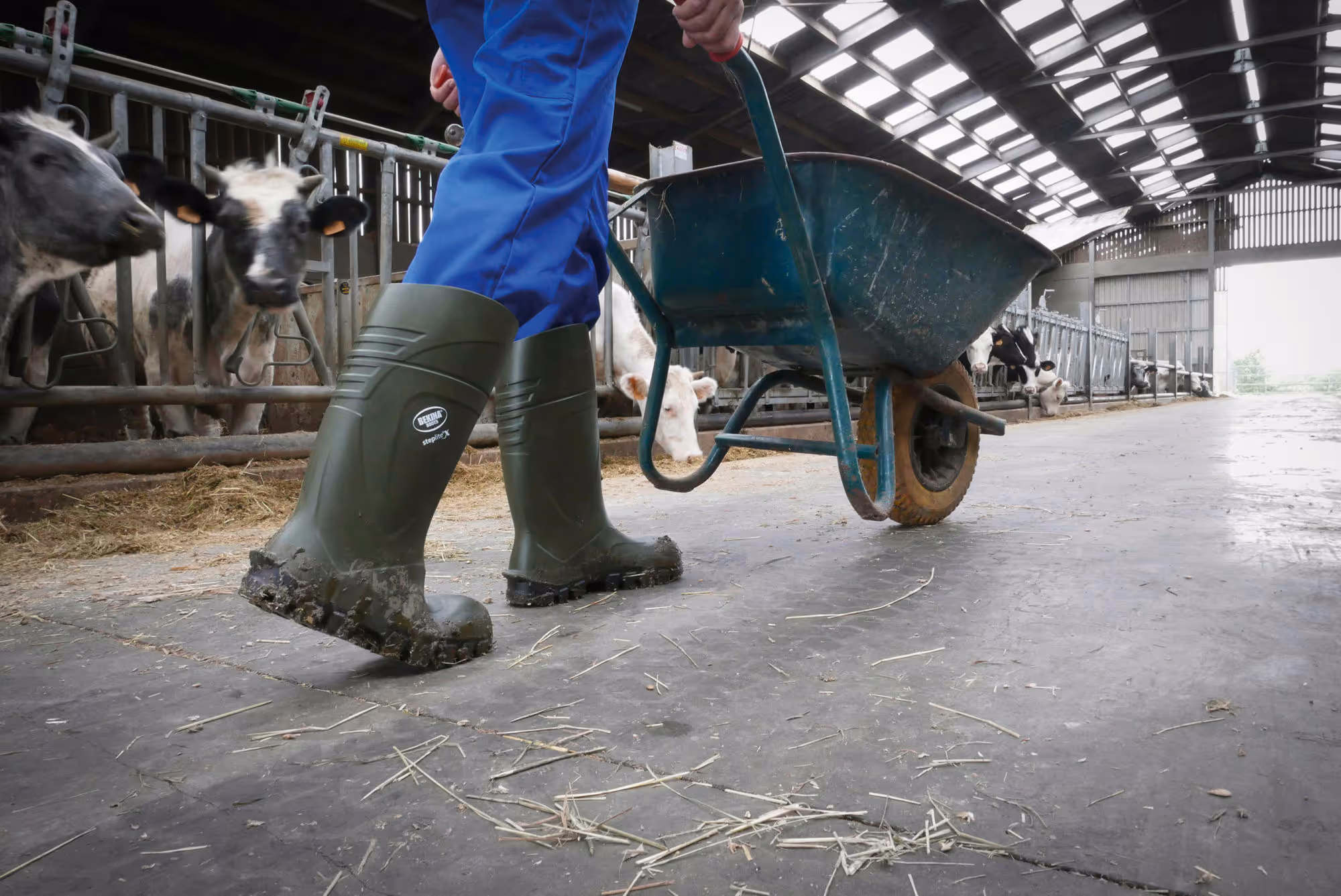 Bottes de sécurité S5 Steplite X, T41