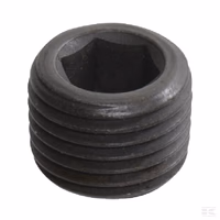 Bouchon 1/4 BSP