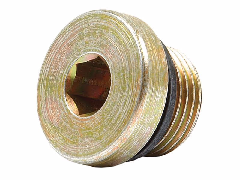 Bouchon 18x150 6 pans creux - Vendu par 2 - ref VSTI18X1.5EDCF