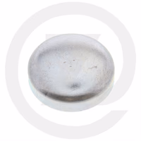 BOUCHON ? 30 MM X 8 MM - 565112 - MANITO
