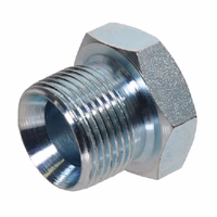 Bouchon a visser BSP 1"