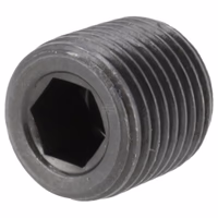 Bouchon a visser BSP 1/8