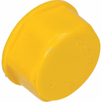 Bouchon antip. fe+jnt M24x1,5