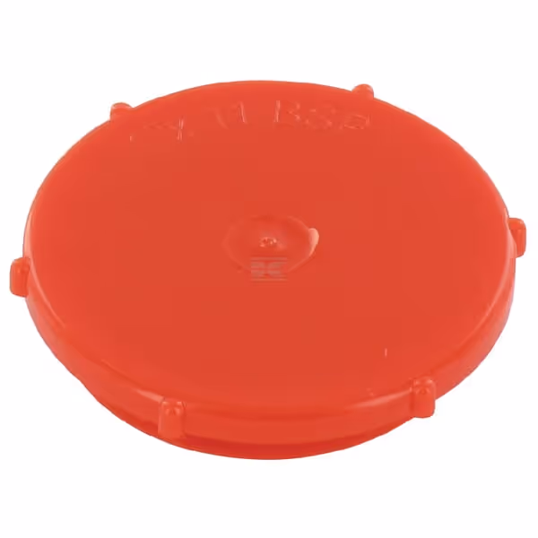 Bouchon antipoussière BSP 1"
