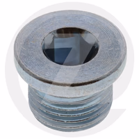 BOUCHON BMM 16x1.5 UMB - 53008795 - MANI