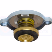 BOUCHON DE RADIATEUR 