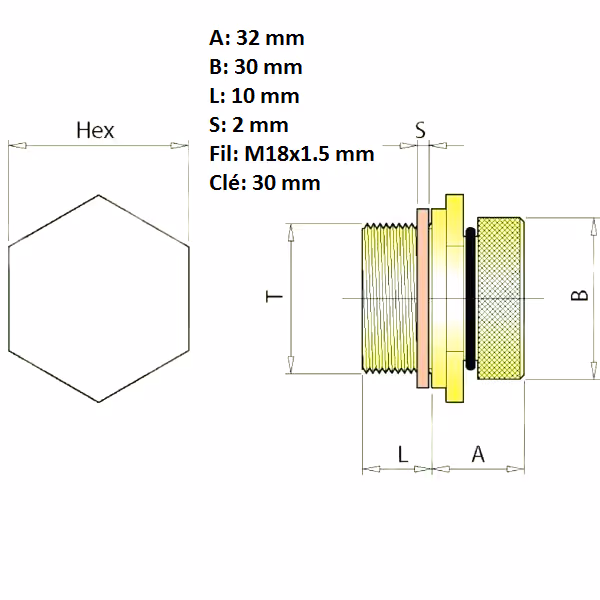 Bouchon de vidange M18x1.5 mm | FEMCO