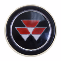 Bouchon de volant 1870806M92 | Massey-Ferguson